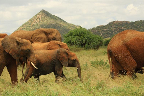 Private 3 Days Samburu National Park Safari All Inclusive