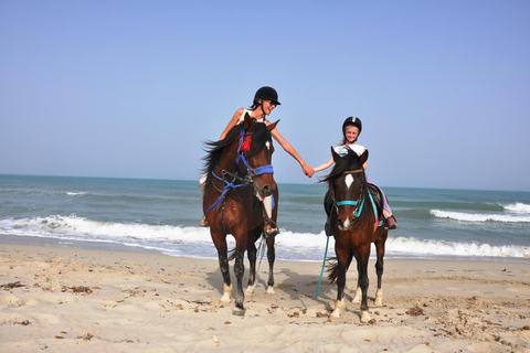 DJERBA : Paseo a caballo privado (2h).