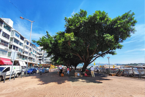 Hongkong Wandern und versteckte Juwelen TourWandertour 5-Sitzer mit englischsprachigem Fahrer