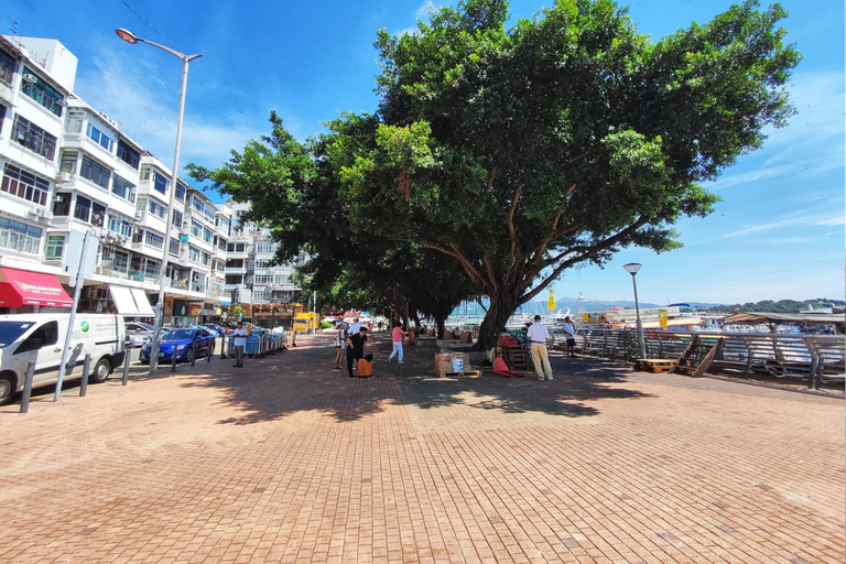 Vandring i Hongkong och upptäcktsfärderVandringstur 5-sitsig med kinesisk talande förare