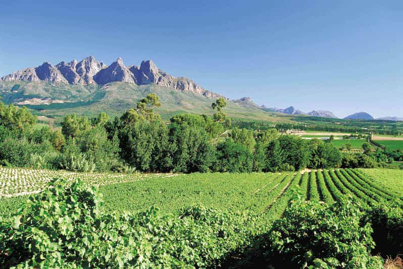 From Cape Town: Stellenbosch Winelands Tour & Wine Tasting | GetYourGuide