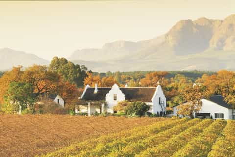 From Cape Town: Stellenbosch Winelands Tour & Wine Tasting
