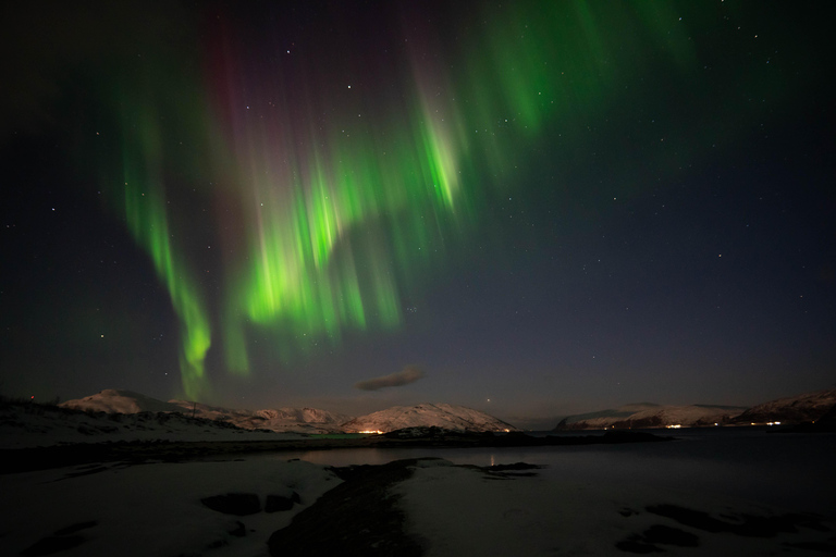 Tromsø: Wycieczka do zorzy polarnej z lokalnym przewodnikiem i lokalnym jedzeniem