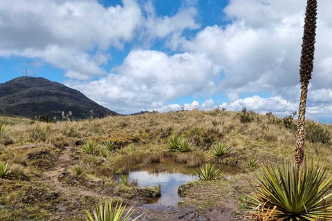 Le páramo, source d&#039;eau et gardien de la vie - RandonnéePáramo, source d&#039;eau et gardien de la vie - Randonnée