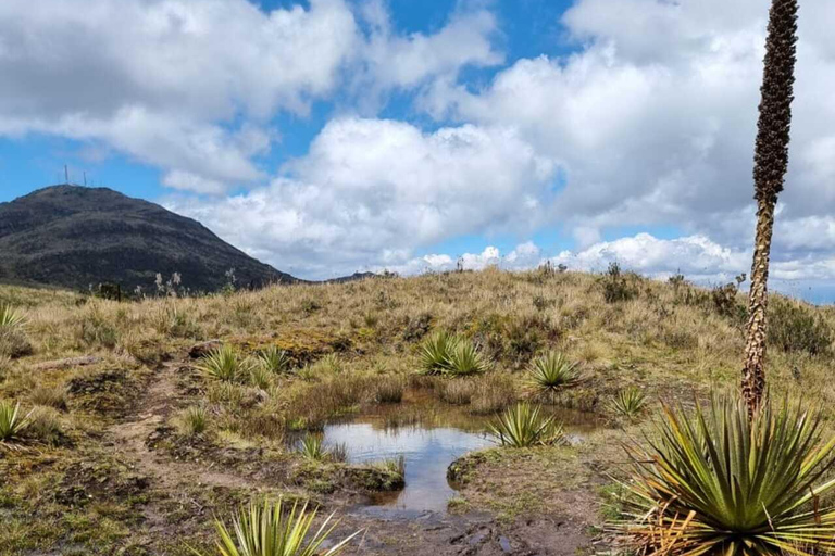 Le páramo, source d&#039;eau et gardien de la vie - RandonnéePáramo, source d&#039;eau et gardien de la vie - Randonnée