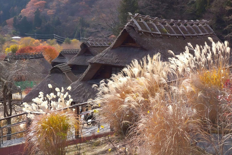 Tokyo: Full-day tour of the four Majestic spots of Mt Fuji