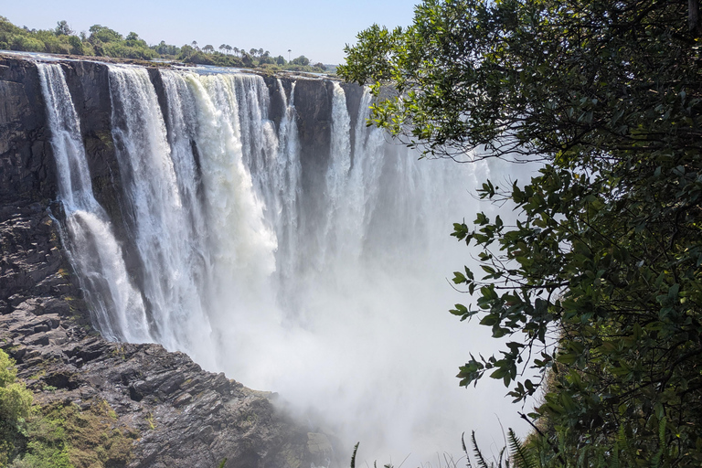 Victoria Falls: Family-Friendly Guided Walking Tour