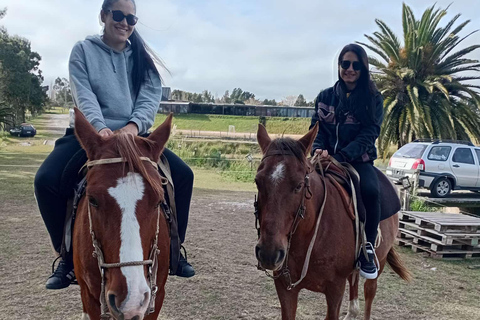 Colonia del Sacramento: Countryside Horseback Riding Tour