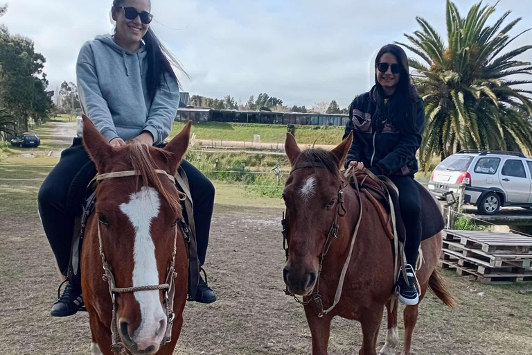 Colonia del Sacramento: Countryside Horseback Riding Tour