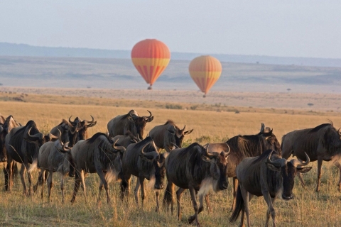 Nairobi: Private 6-tägige Maasai Mara, Nakuru & Naivasha Safari