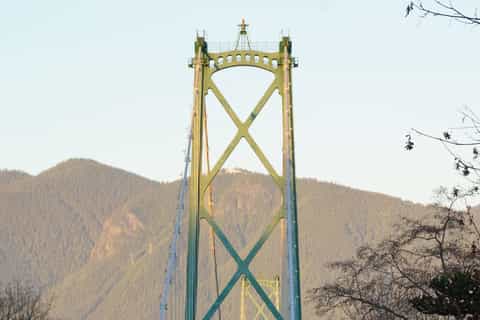 Vancouver Shore Excursion 7-Hour Private Tour