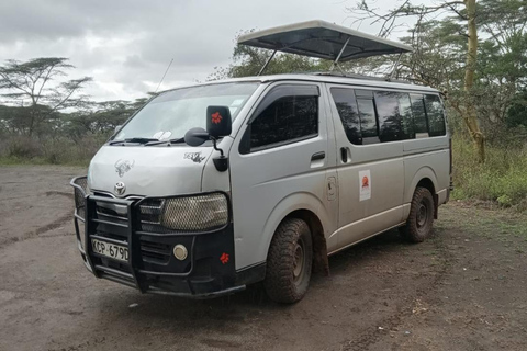 Masai Mara from Nairobi Transfer