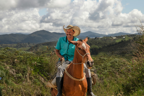 Luang Prabang: Guided Village & Forest Horse Trail Ride 1.5-Hours Guided Village & Forest Horse Trail Ride