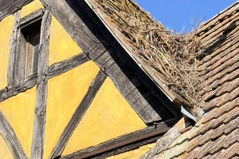 Riquewihr: the pearl of the vineyards with a local guide and tastings Riquewihr: the Pearl of the Vineyard with a local guide and wine tastings