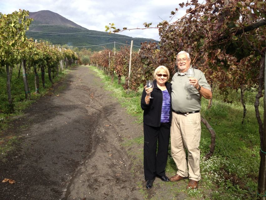 From Naples: Private Pompeii, Mount Vesuvius and Winery Tour