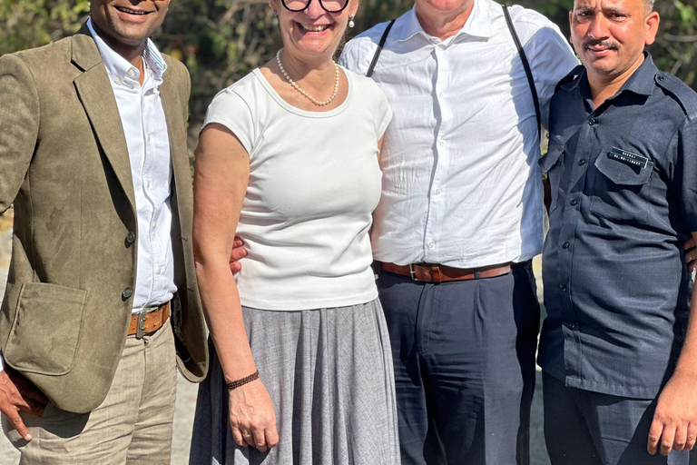 Udaipur: Private City Tour with Multilingual Guide