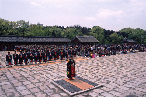 Seoul: Full-Day Royal Palace and Shopping Tour