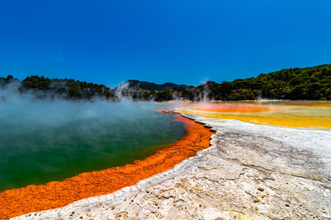 Tour particular: O Rocky Rotorua (Flexível)