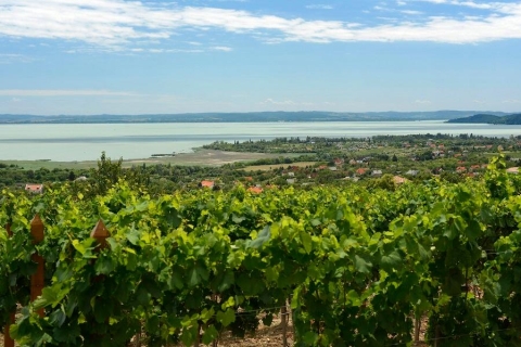La mer turquoise de Hongrie : visite privée du lac Balaton