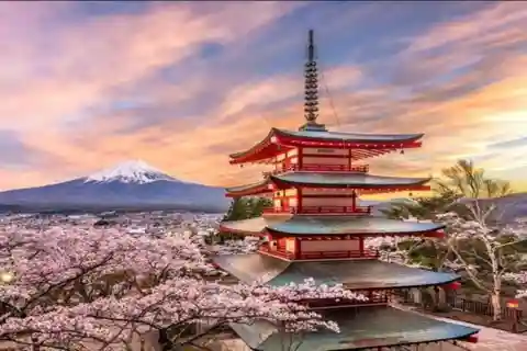 東京から富士山日帰りプライベートツアー