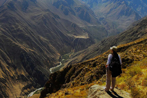 Från Arequipa besöker du Colca Canyon och avslutar i Puno.