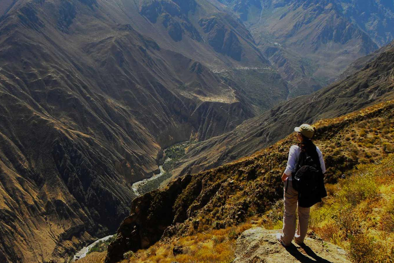 From Arequipa, visit the Colca Canyon and end in Puno.