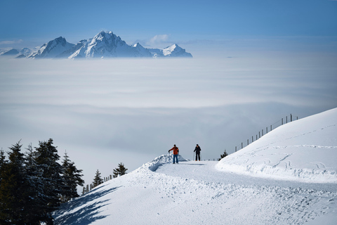 Central Switzerland: 7-Day Ski & Snowboard Week