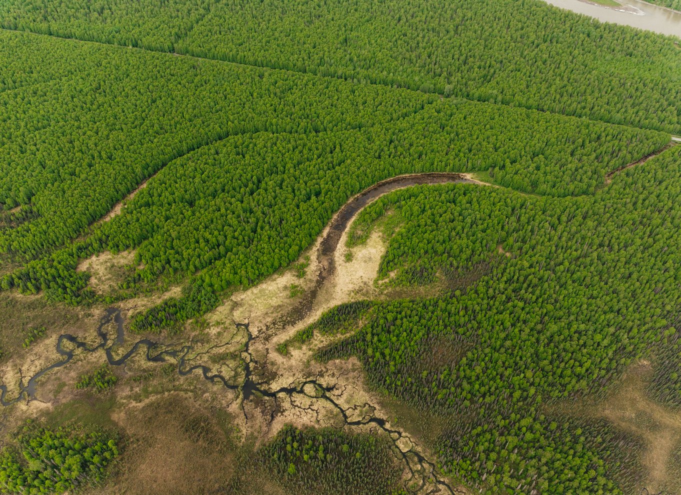 Talkeetna: Mountain Voyager med valgfri gletsjerlanding