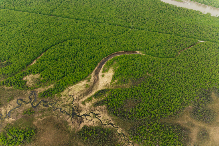 Talkeetna: رحلة جبلية مع هبوط اختياري على الجليدرحلة مع Glacier Landing