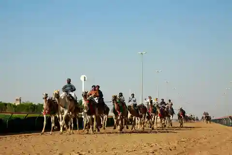 Private West of Qatar Tour