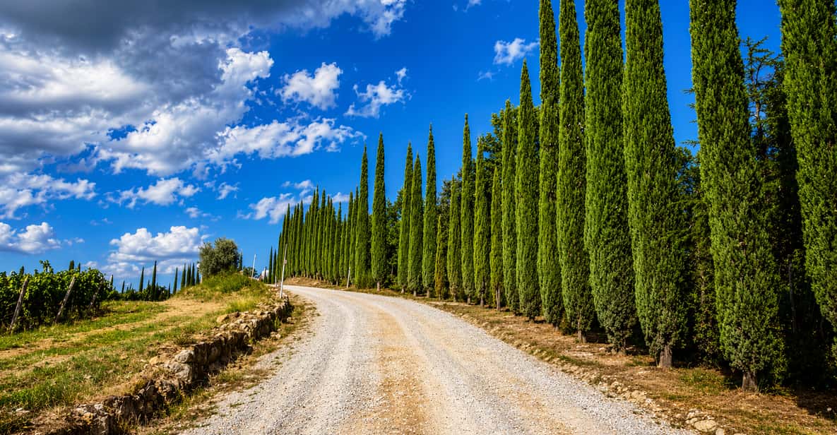 Afbeelding 3 van Siena countryside: e-biketour met virtuele gids
