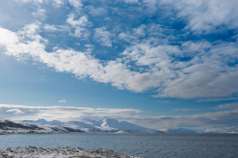 From Tromsø: Experience Vannøya Island Wild, Remote & Real
