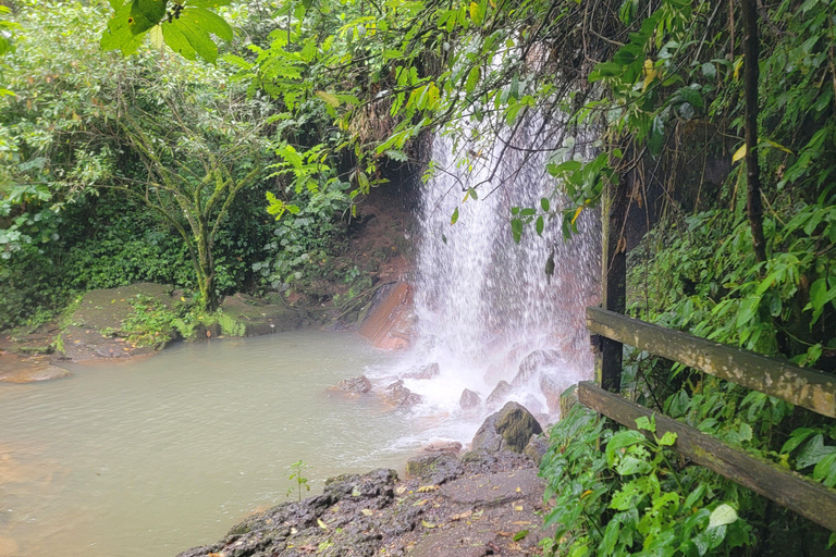 Lago Bunyonyi: 5 giorni nella natura in canoaLago Bunyonyi: 5 giorni nella natura con canoa