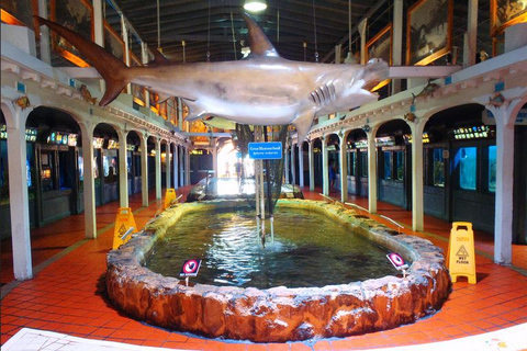 Biglietti per l&#039;acquario di Key WestOpzione standard