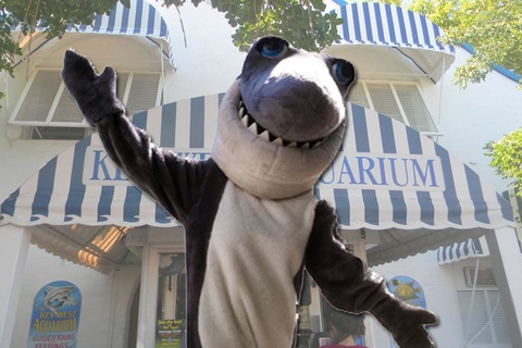 Key West Aquarium TicketsStandard Option