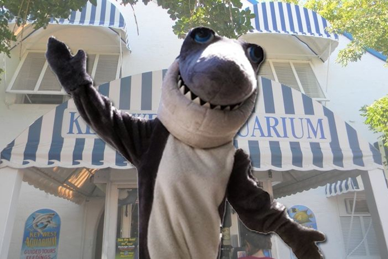 Key West Aquarium TicketsStandard Option