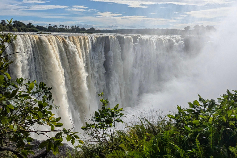 Victoria Falls Tour:Guided Walk with Female Guide