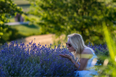 Krakow: Privat tur till lavendelfält och vinprovningKraków: Privat tur till lavendelfält och vinprovning