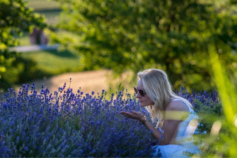 Krakow: Privat tur till lavendelfält och vinprovningKraków: Privat tur till lavendelfält och vinprovning