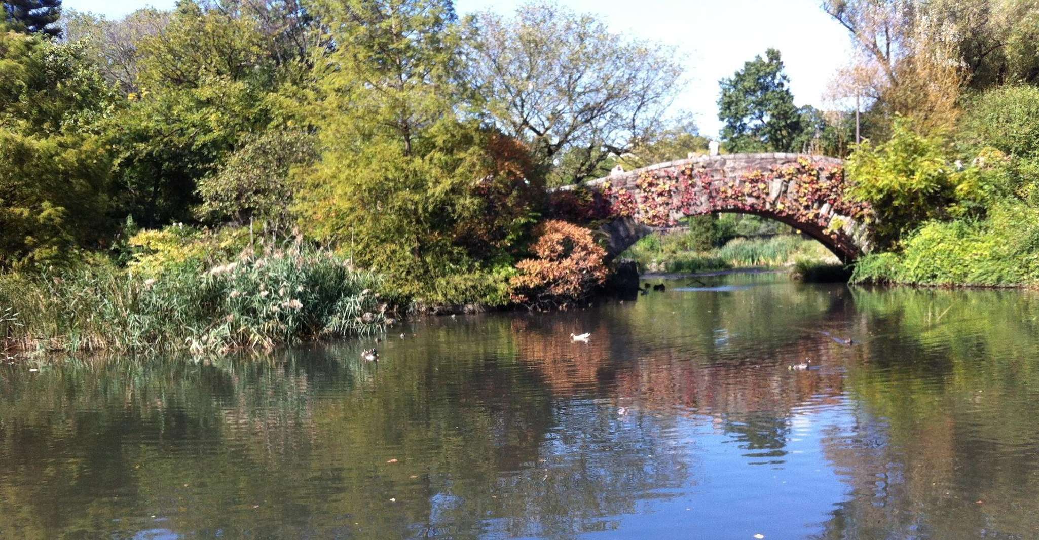 Boston to New York Day Trip by Rail - Housity