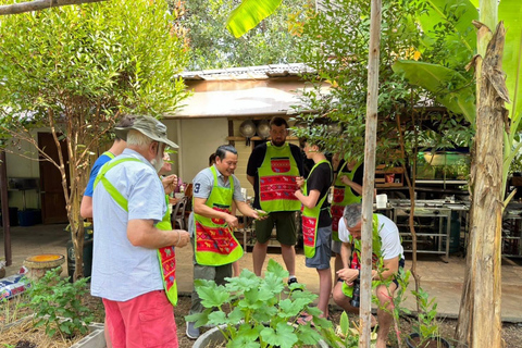 Krabi : Autentisk thailändsk matlagningskurs med marknadstur