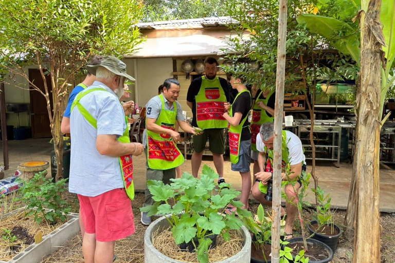 Krabi : Autentisk thailändsk matlagningskurs med marknadstur