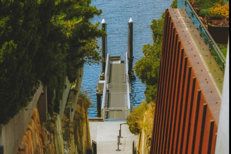 Hobart: MONA, Salamanca Place, Zoo, and Mt Wellington Tour