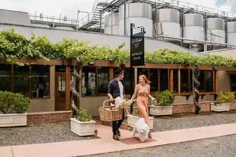 Tanunda: Progressive Paired Wine & Lunch Trail in Barossa