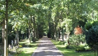 Cologne, The Melaten Cemetery, Life, Love and Death Tour - Housity