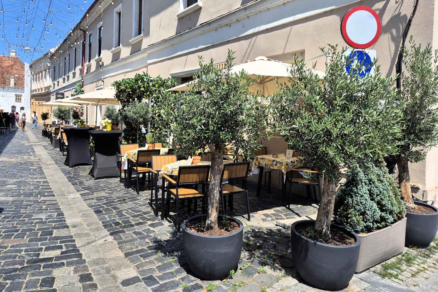 Cluj Insight: Walking tour with a travel writer & historian