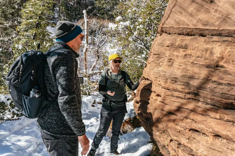 From Springdale Hour Zion Canyon Scenic Hiking Tour Getyourguide