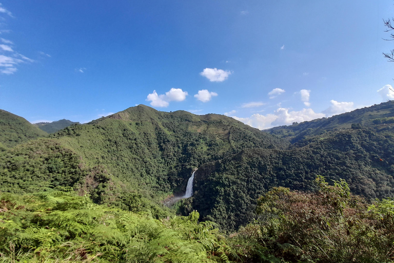 Caminhada em cachoeira e tirolesa saindo de Medellín ou Guatapé