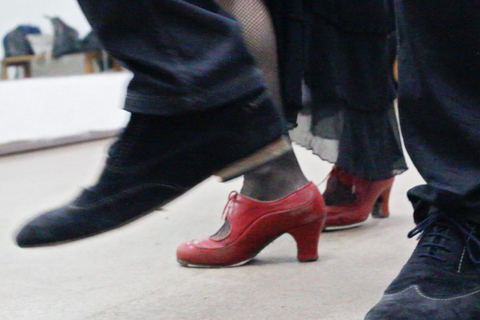 Flamenco Dance Lesson: 60-Minute Class in Seville