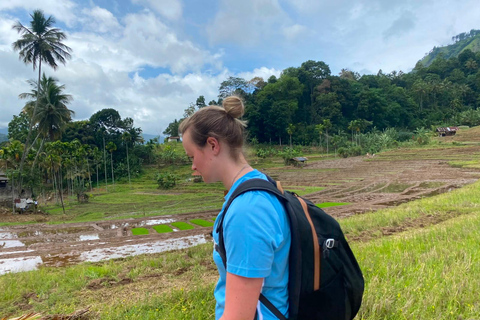 Kandy: City Tour by Car with Hiking and Bird Watching